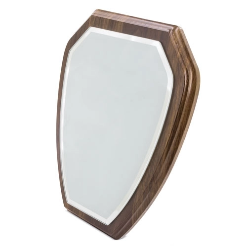 Immagine TROFEO MODERNO PER SUBLIMAZIONE 