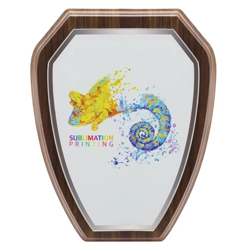 Immagine TROFEO MODERNO PER SUBLIMAZIONE 