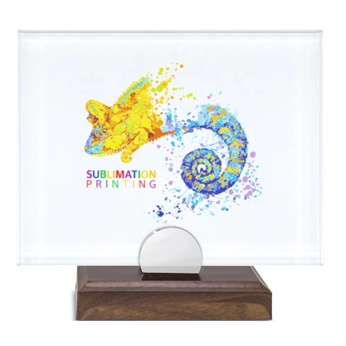 Immagine TROFEO DA TAVOLO FOTO 22 X 17CM 