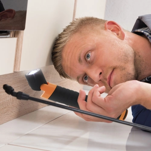 Immagine LANTERNA CURVE