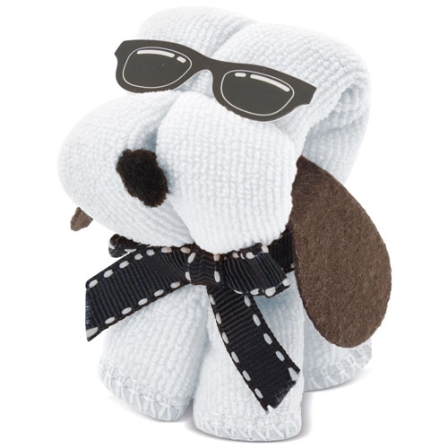 Immagine ASCIUGAMANO 