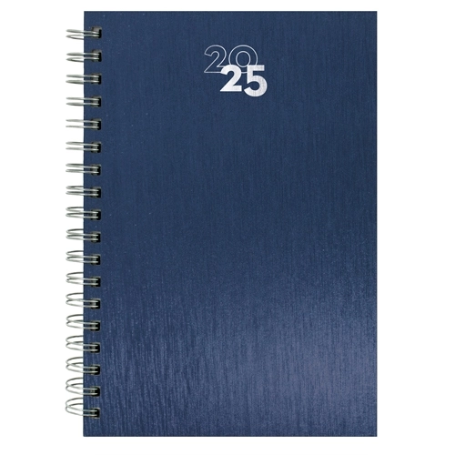 Immagine AGENDA ANELLI METALLIZZATI NICK