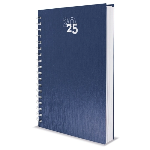 Immagine AGENDA ANELLI METALLIZZATI NICK