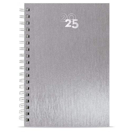 Immagine AGENDA ANELLI METALLIZZATI NICK