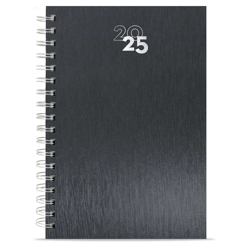 Immagine AGENDA ANELLI METALLIZZATI NICK