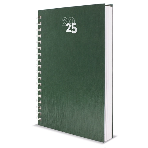 Immagine AGENDA ANELLI METALLIZZATI NICK