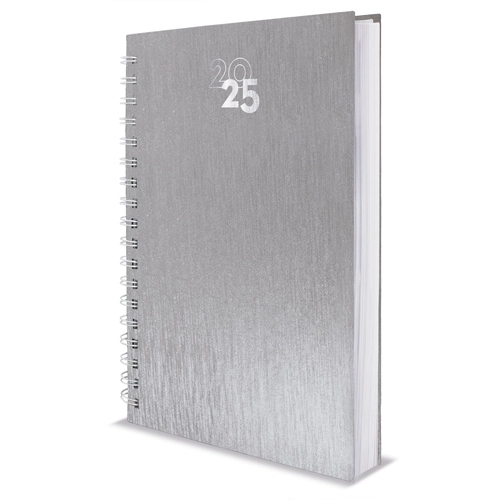 Immagine AGENDA ANELLI METALLIZZATI NICK