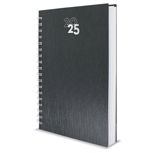 Immagine AGENDA ANELLI METALLIZZATI NICK