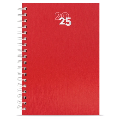 Immagine AGENDA ANELLI METALLIZZATI NICK