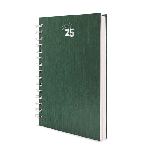 Immagine AGENDA ANELLI METALLIZZATI RAKI