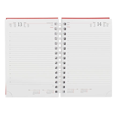 Immagine AGENDA ANELLI METALLIZZATI RAKI