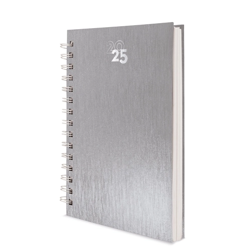 Immagine AGENDA ANELLI METALLIZZATI RAKI