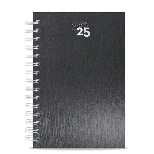 Immagine AGENDA ANELLI METALLIZZATI RAKI