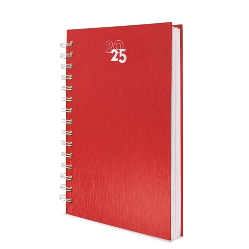 Immagine AGENDA ANELLI METALLIZZATI RAKI