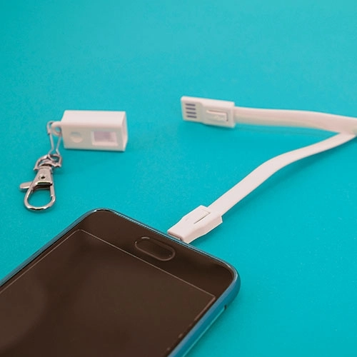 Immagine LANYARD CONNETTORE 