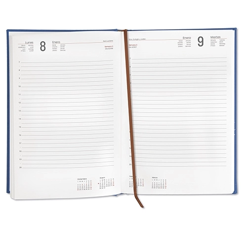 Immagine AGENDA GIORNALIERA 