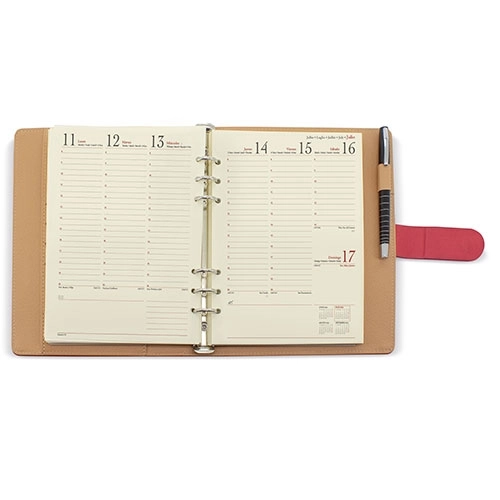 Immagine AGENDA REIMS PIERRE CARDIN S/V