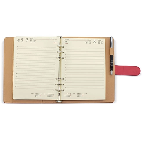 Immagine AGENDA REIMS PIERRE CARDIN D/P