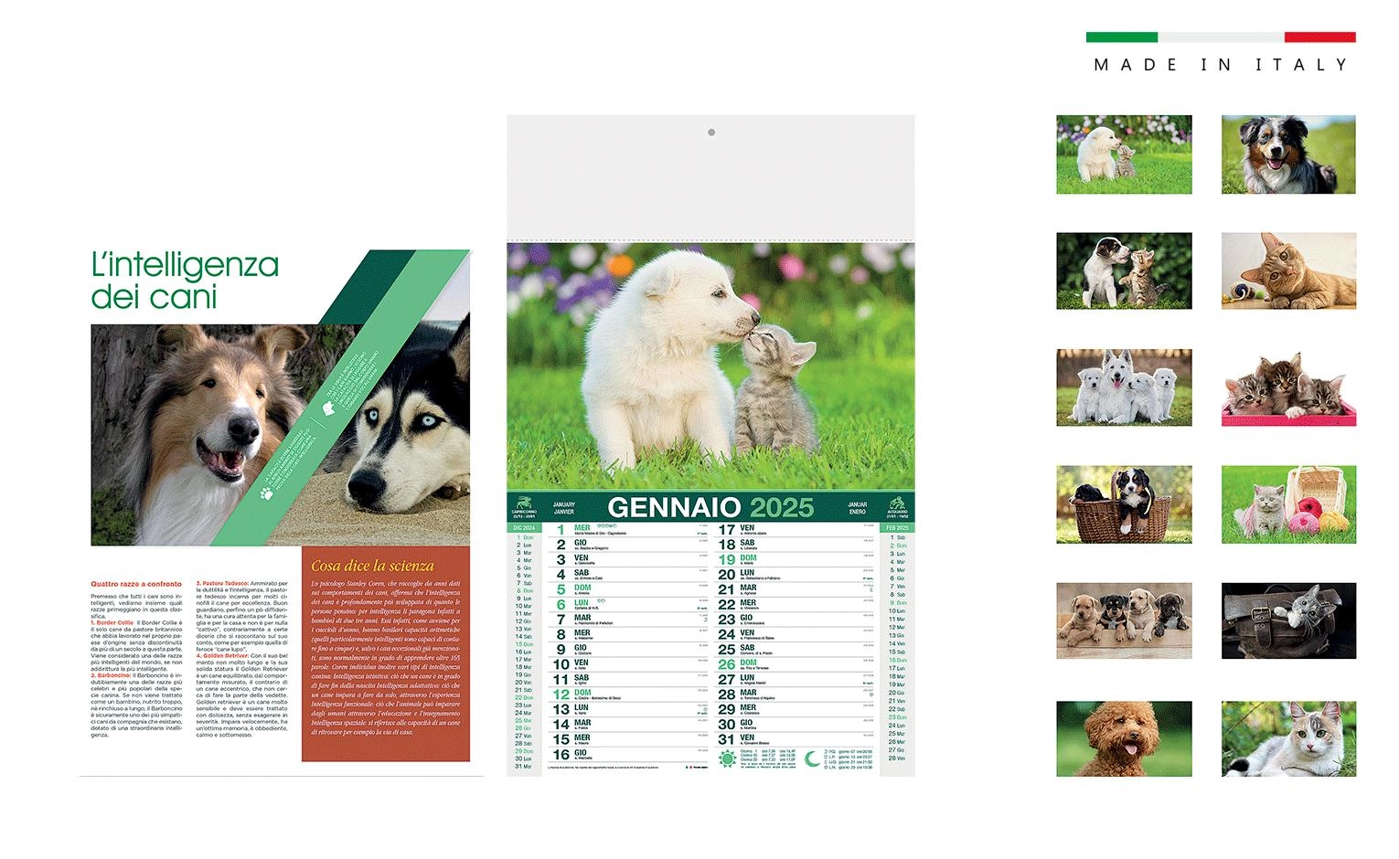 Immagine Calendario CUCCIOLI mensile 12 fogli 28,8x47