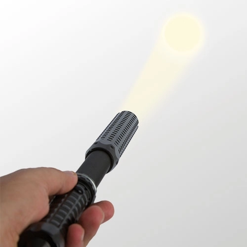 Immagine TORCIA POLIZIA