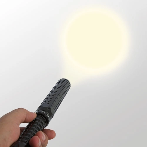 Immagine TORCIA POLIZIA