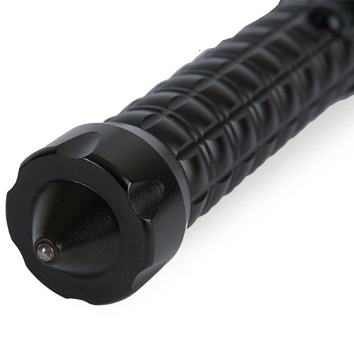 Immagine TORCIA POLIZIA