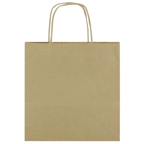 Immagine BORSA DI CARTA 