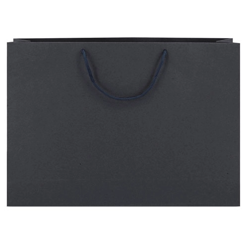 Immagine BORSA DI CARTONE MANICI LOOPSE 