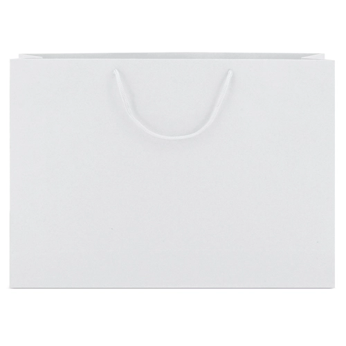 Immagine BORSA DI CARTONE MANICI LOOPSE 