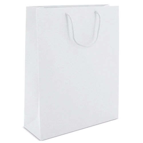 Immagine BORSA DI CARTONE MANICI LOOPSE 