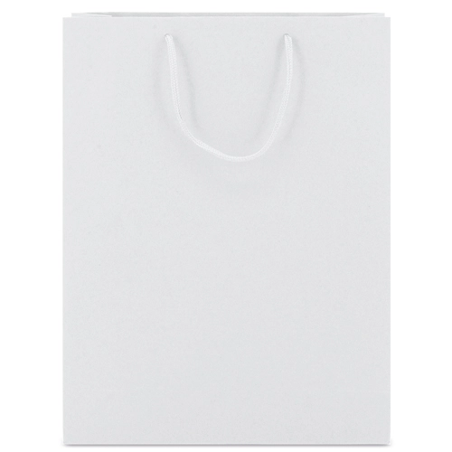 Immagine BORSA DI CARTONE MANICI LOOPSE 