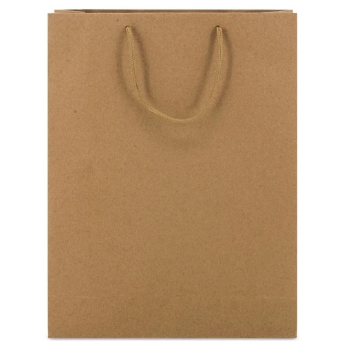 Immagine BORSA DI CARTONE MANICI LOOPSE 