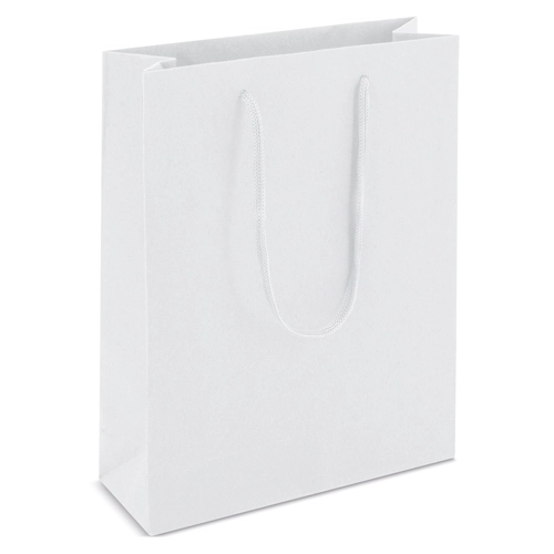 Immagine BORSA DI CARTONE MANICI LOOPSE 