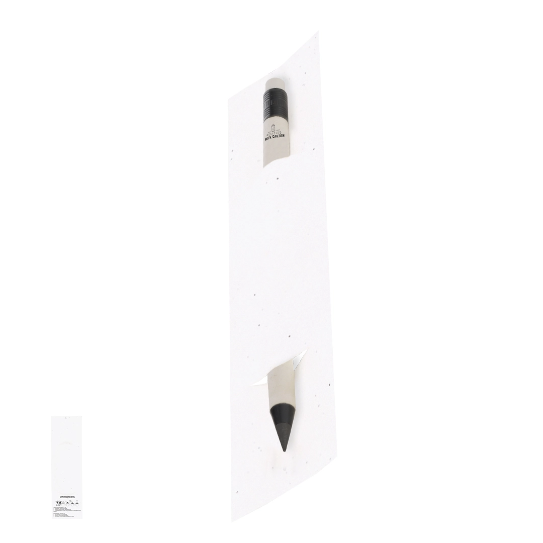 Immagine Matita Eterna Stauton