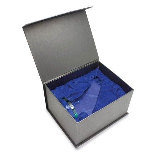 Immagine TROFEO A FORMA DI VELA 