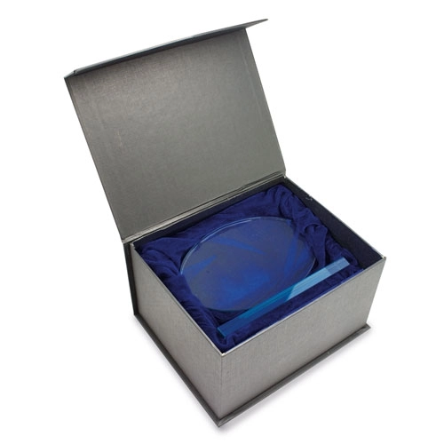 Immagine TROFEO IN VETRO OVALE 