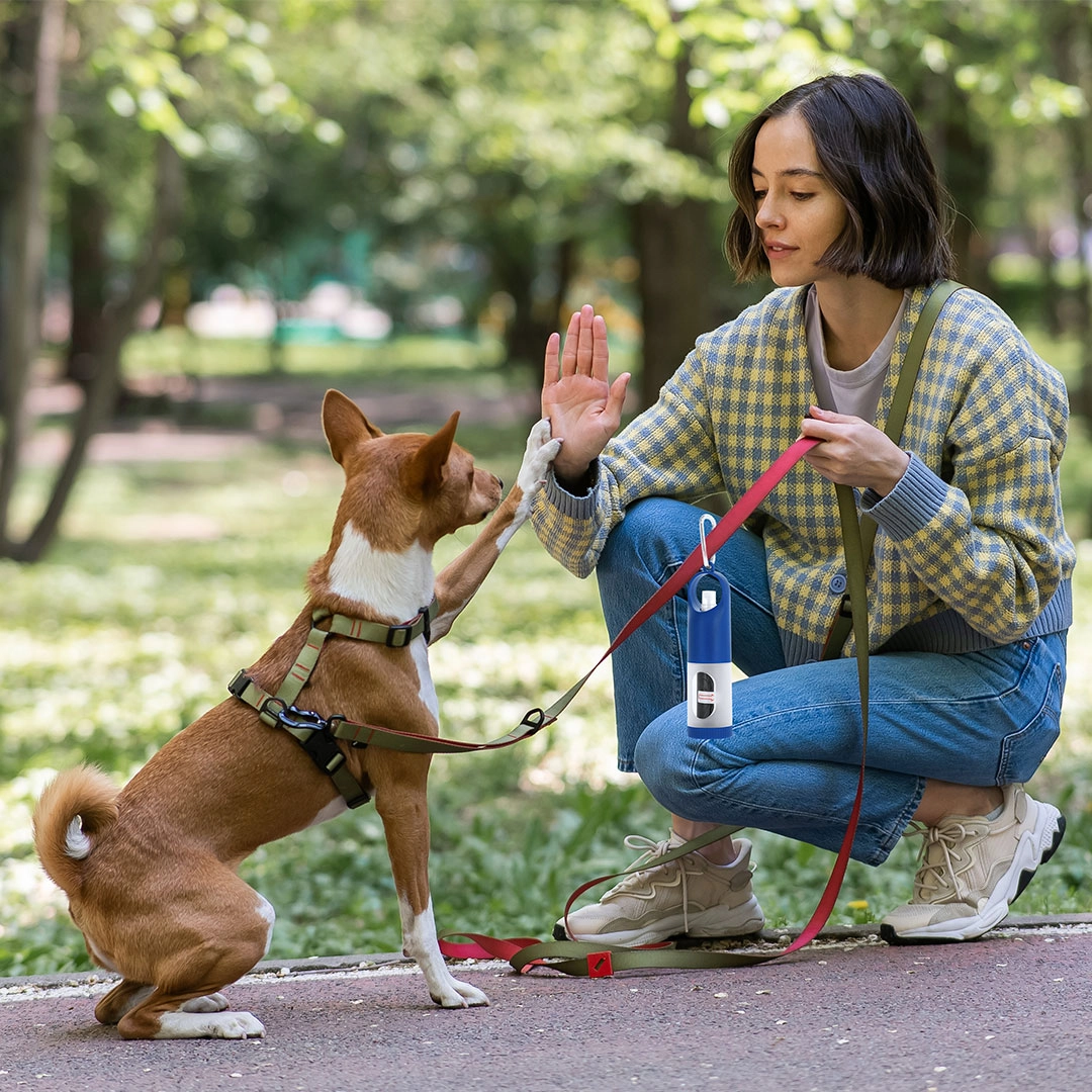 Immagine Erogatore Sacchetti Kesler