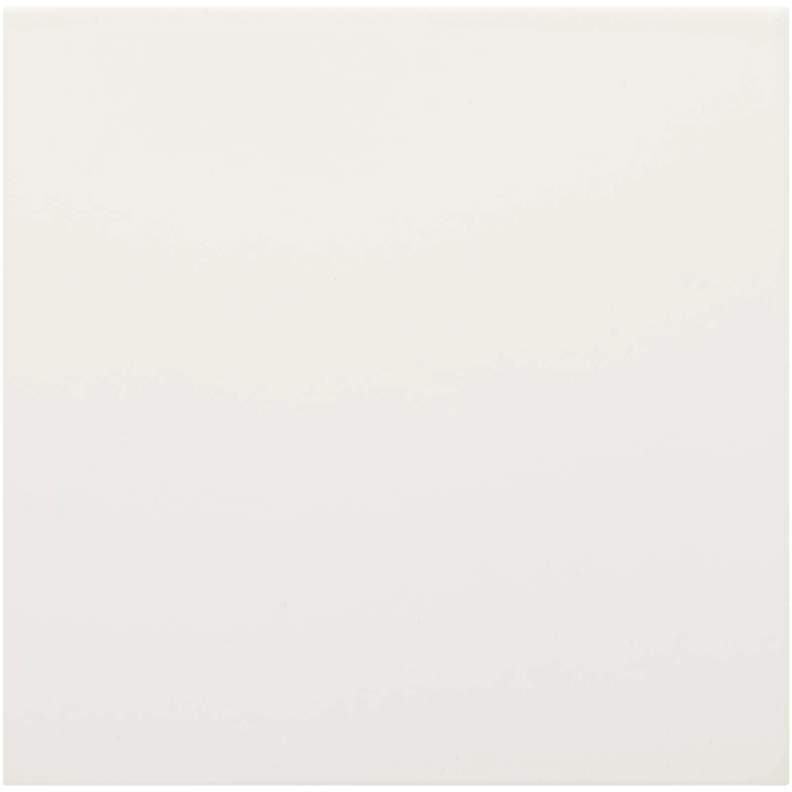 Immagine Vaso in alluminio con pianta grassa, succulenta Hey Pots