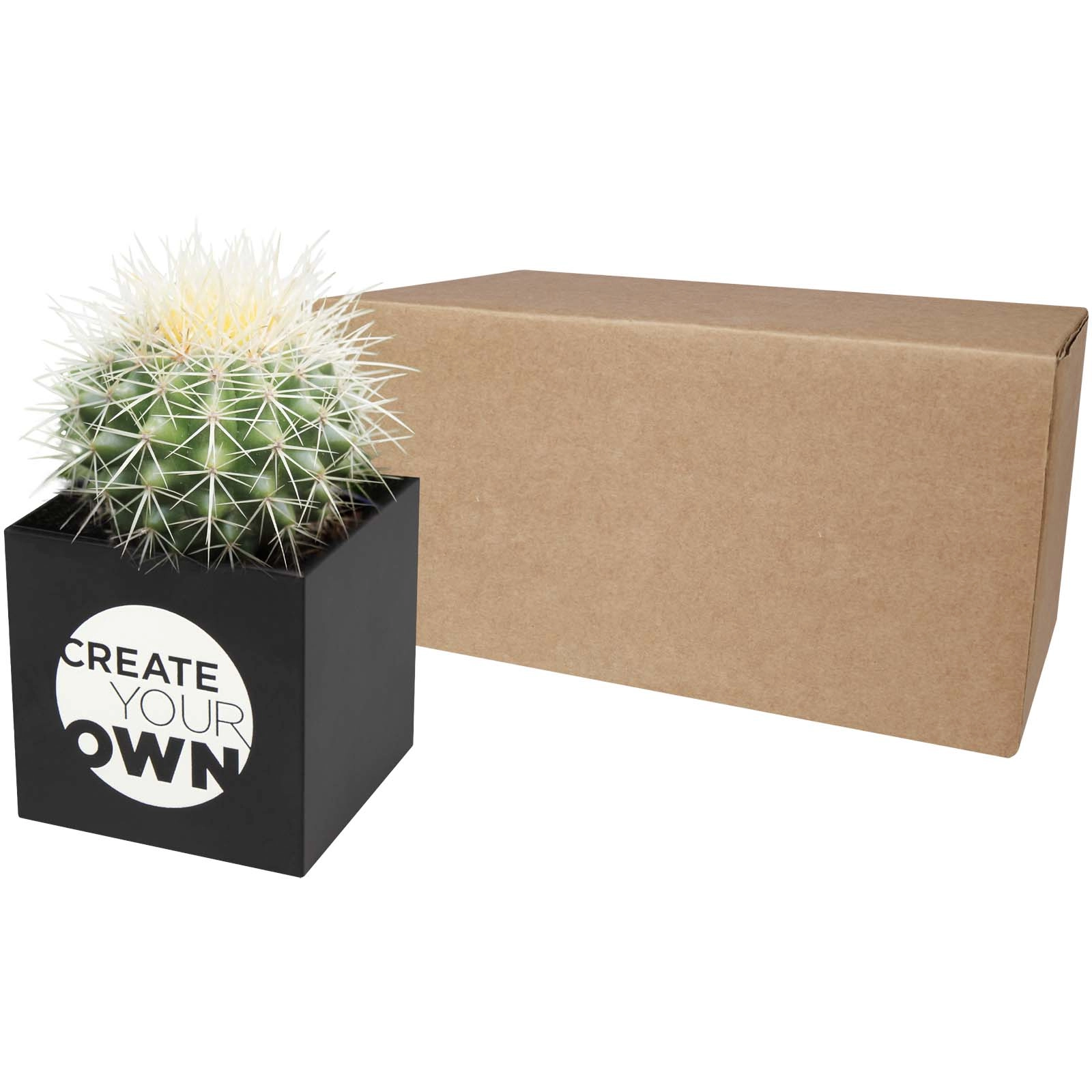 Immagine Vaso in alluminio con pianta, cactus Hey Pots