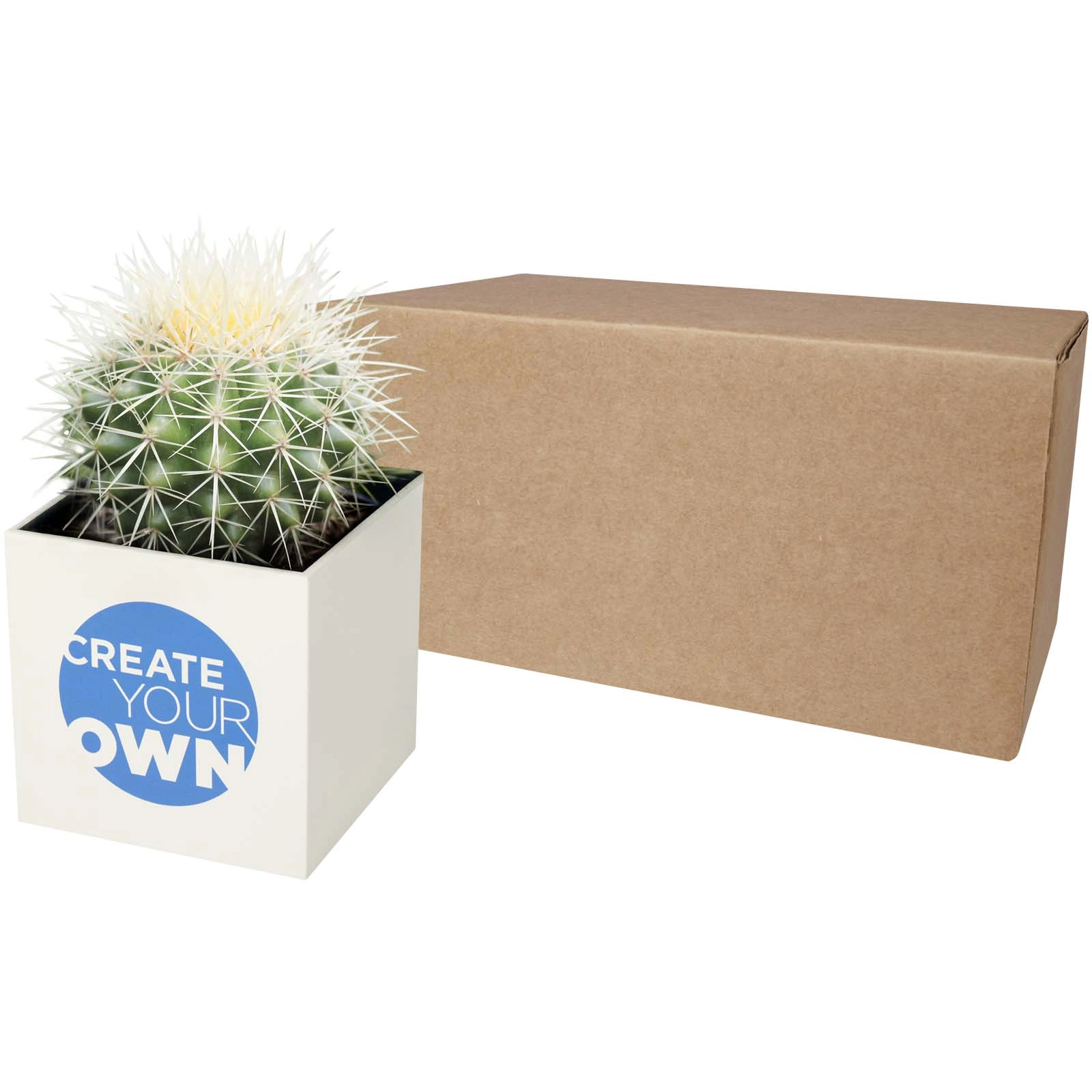 Immagine Vaso in alluminio con pianta, cactus Hey Pots