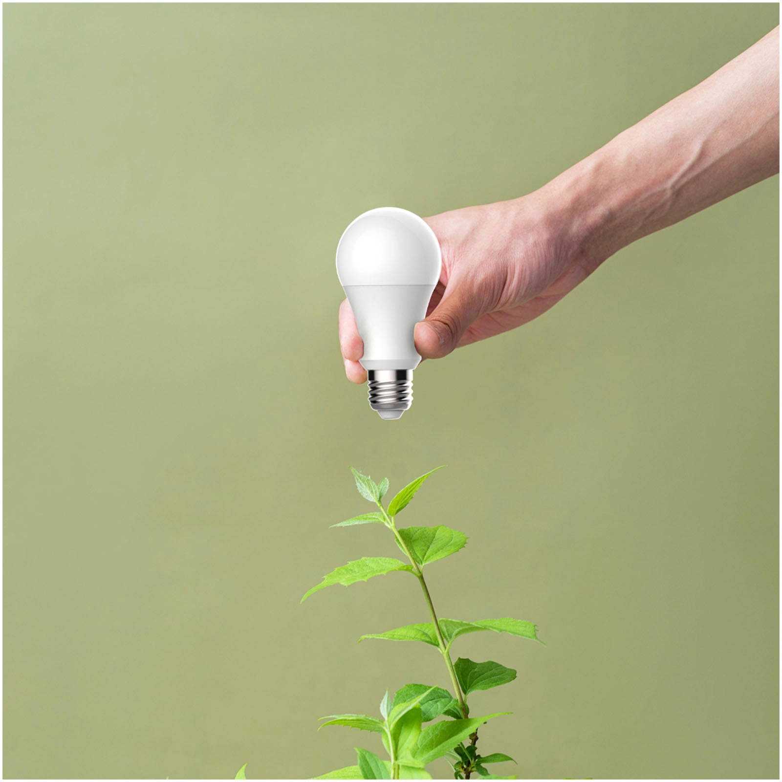 Immagine Lampadina Wi-Fi BW10 Prixton