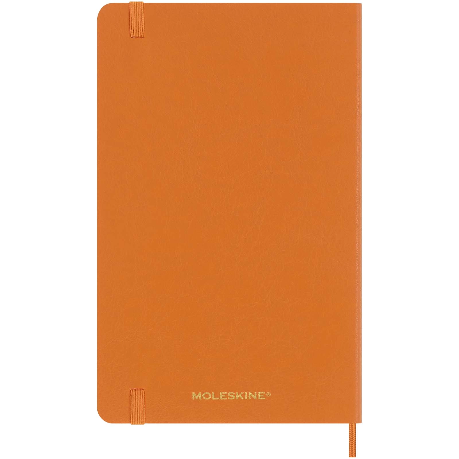 Immagine Blocco note con copertina morbida formato L - a righe Moleskine 100% VEGEA® Capri