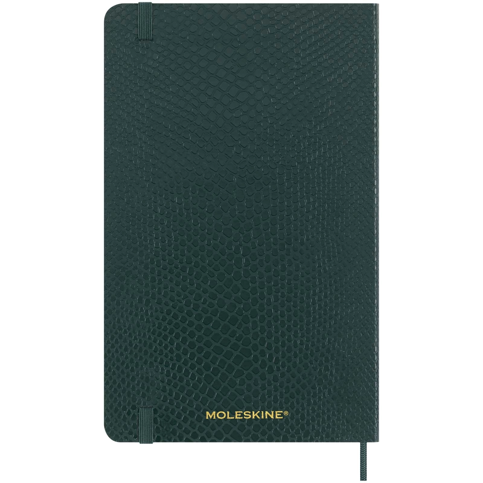 Immagine Blocco note con copertina morbida formato L - a righe Moleskine 100% VEGEA® Boa