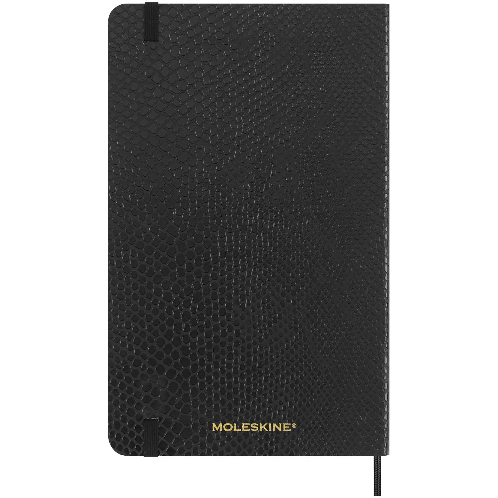 Immagine Blocco note con copertina morbida formato L - a righe Moleskine 100% VEGEA® Boa
