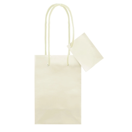 Immagine BORSA REGALO PLASTIFICATA 
