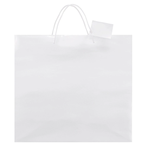 Immagine BORSA REGALO PLASTIFICATA 