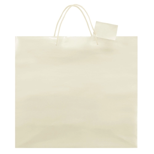 Immagine BORSA REGALO PLASTIFICATA 