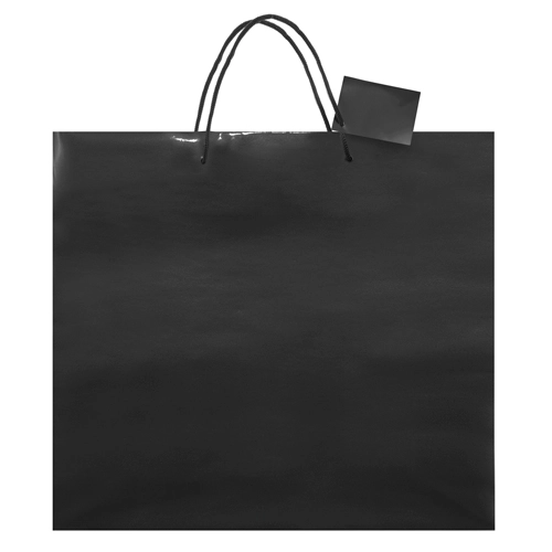 Immagine BORSA REGALO PLASTIFICATA 