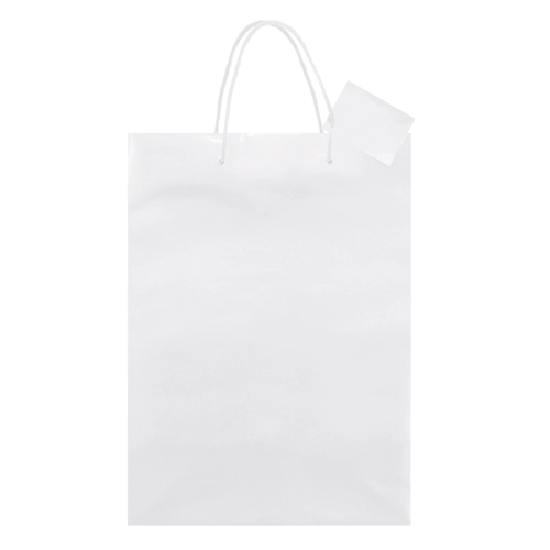 Immagine BORSA REGALO PLASTIFICATA 