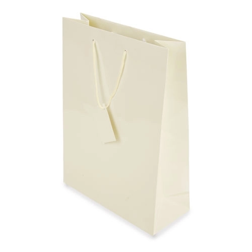 Immagine BORSA REGALO PLASTIFICATA 